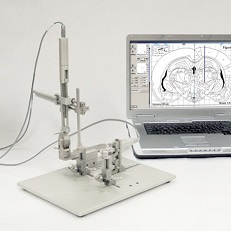 ����늄�(d��ng)��(sh��)�@��С���X���w��λ�x