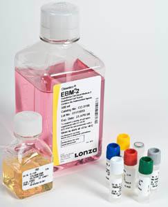 lonza���B(y��ng)��