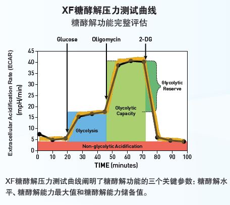 Seahorse��(x��)���������x����-�ǽͽ≺��-ECAR