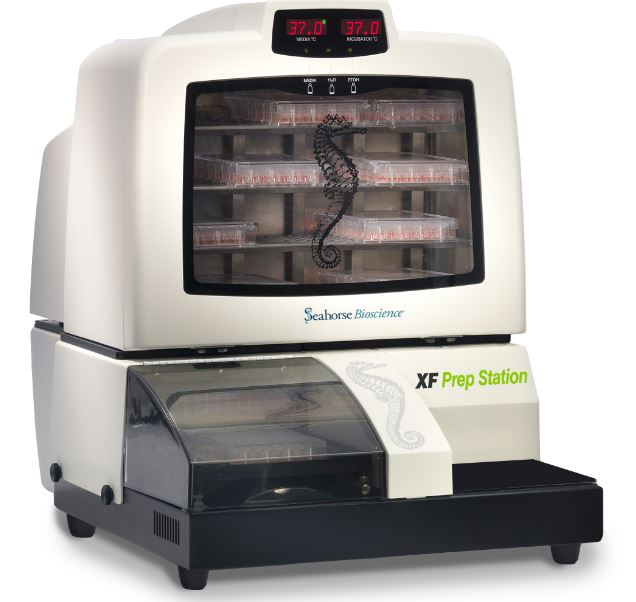 Seahorse XF �yԇ��Ʒ�Ƃ�x