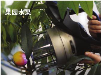 ��yʽ����-��Ҋ��ɹ�x