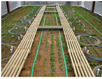 Soiltron-Rhizo��ϵ���B(t��i)�^�y���B�x