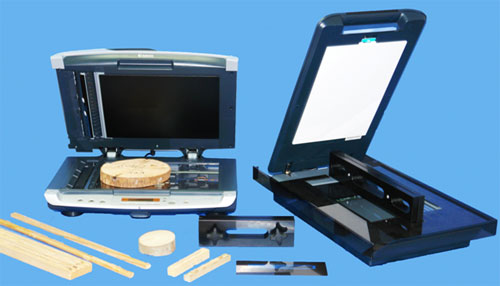 WinDendro ��݆����ϵ�y(t��ng)