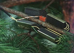 ��ľ�o���y(c��)��ϵ�y(t��ng)