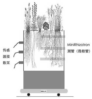 SoilTronֲ���ϵ�^�yС�����B�x