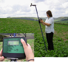 �ֳ�ʽNDVI�y���x