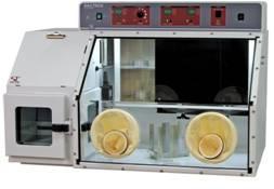 ����Shellab΢������������