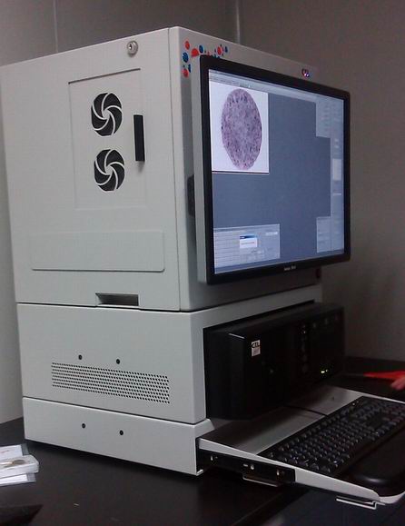 �ɹ�ø(li��n)���߰��c ELISPOT �z�y�����x