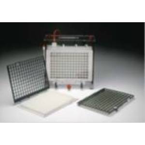 TE22/TE62ȫ����D(zhu��n)ӡ�x