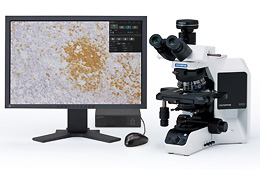 ��(d��)�����@΢��(sh��)�a���C(j��)