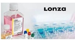 �F(xi��n)؛����(y��ng)��BEGM֧�����Ƥ��(x��)�����B(y��ng)��