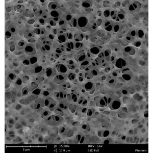 �߷���Ĥ�I(l��ng)���������@΢�R