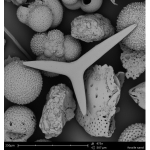 ���|(zh��)�I(l��ng)���������@΢�R