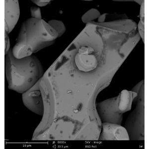 늳��I(l��ng)���������@΢�R