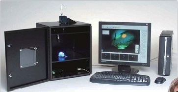 С��(d��ng)����w����С��(d��ng)�����