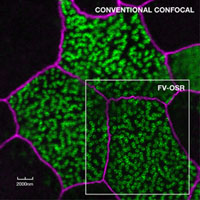 ���߷ֱ��ʼ��g(sh��)��FV-OSR��