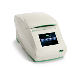 biorad T100 PCR