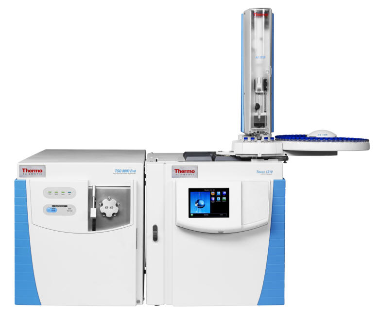 TSQ 8000 Evo �����ĘO�U GC-MSMS