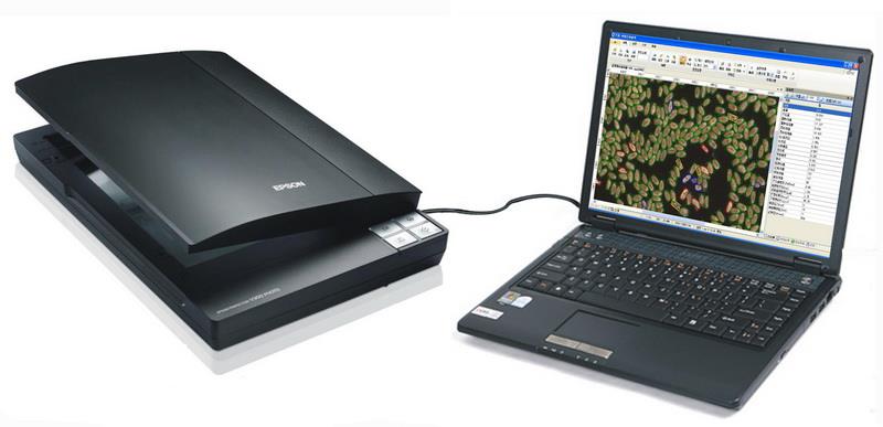 SC-M��Ai�����������^Ʒ�|(zh��)����R(sh��)�e�z�y(c��)�x