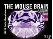 С���X�D�V�������X�D�V