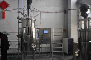 ȫ�ԄӰl(f��)�͹�