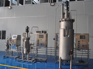 3�����P䓰l(f��)�͹�