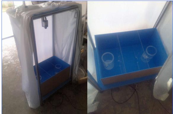 ��С��ͨ���罻�О�ҕ�l����ϵ�y(t��ng)