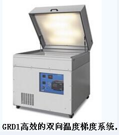 Ӣ��(gu��)GRANT�ض��ݶȌ�(sh��)�(y��n)��