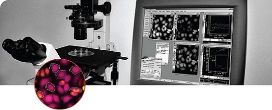 MetaFluor ����ܛ��