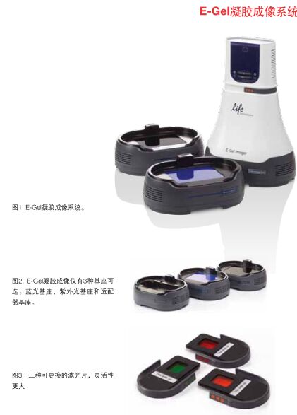 E-Gel Imager���z����ϵ�y(t��ng)