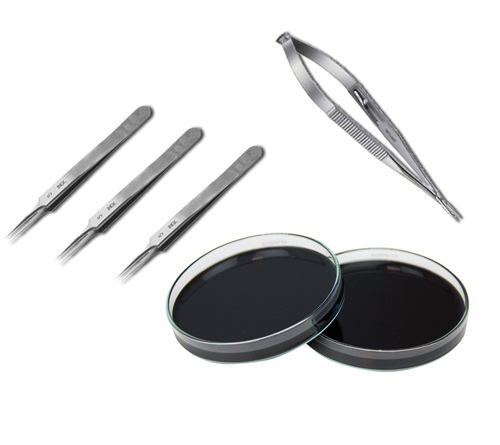 ��(d��ng)�(sh��)�(y��n)���g(sh��)��е��