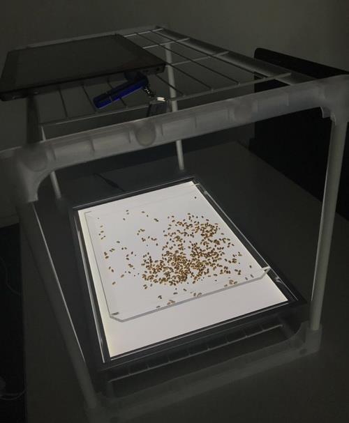 萬深智能種子計數(shù)儀種子自動數(shù)粒儀考種儀