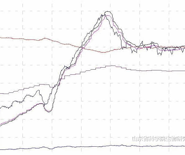 �l(f��)��β������xܛ��