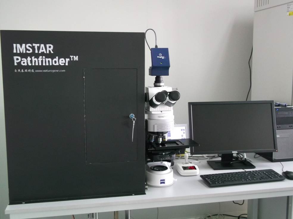 ȫ�Ԅ�(d��ng)�ɹ�ԭλ�s���������ϵ�y(t��ng)