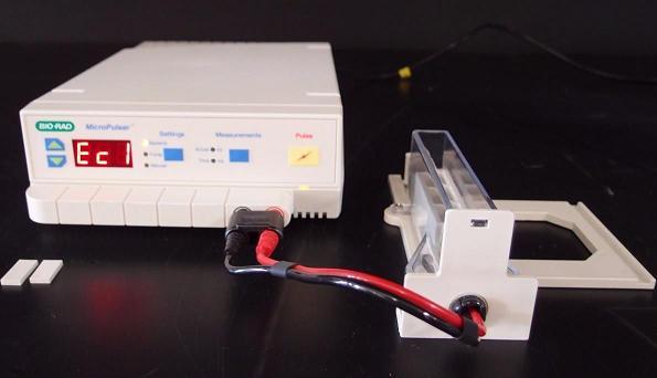 Bio-Rad MicroPulser늴��׃x,��D(zhu��n)���x