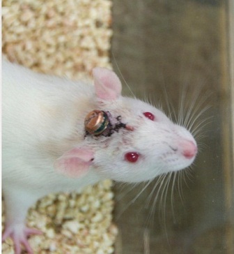 С��(d��ng)���X�/����b�y(c��)ӛ�ϵ�y(t��ng)