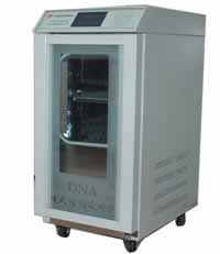 DNA��Ⱦ�����x