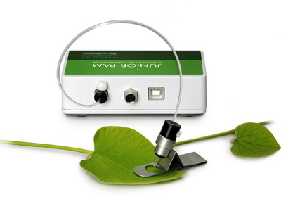 ���A���{�Ɵɹ�x Junior-PAM