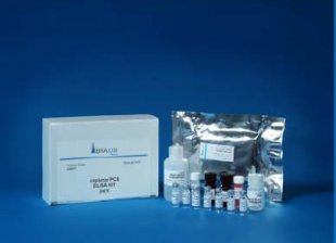 �h(hu��n)��������/�����΁���������