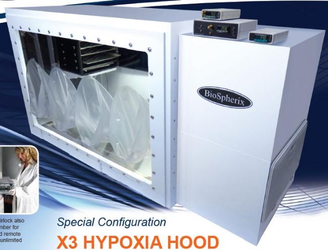 X3-CK��(x��)������������������վ