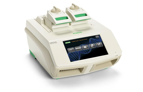 ����(l��)biorad C1000 PCR(�F(xi��n)؛)