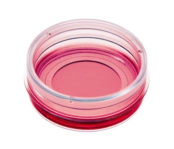 ��-Dish 35 mm, high ESS ����֧�α���