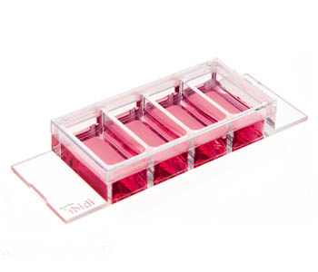 ��-Slide 4��ǻ���d��Ƭ