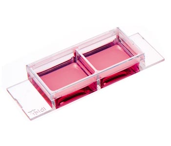 ��-Slide 2�׹����B(y��ng)-81806 81801