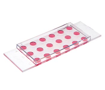 ��-Slide 18�����B(y��ng)�d��Ƭ