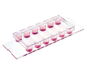 ��-Slide VI ��ͨ�����B(y��ng)�d��Ƭ