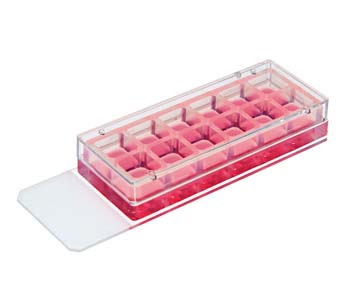 12�׿��Ƴ�������B(y��ng)�d��Ƭ