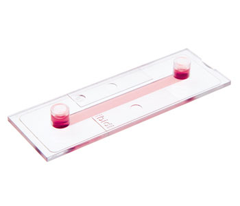 ��-Slide I ��ͨ�����B(y��ng)�d��Ƭ