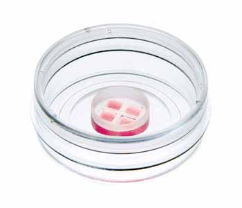 4�ײ��/4�ײ�����B(y��ng)��