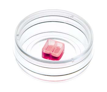 ���ی���������2�ײ�����B(y��ng)��80209